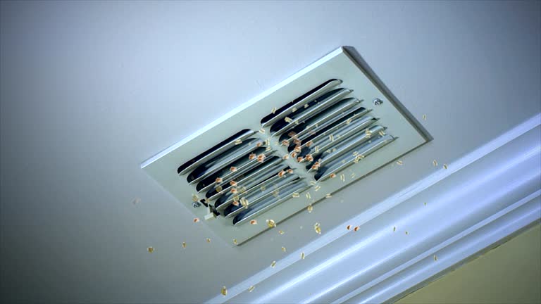 Best Commercial HVAC Duct Cleaning  in Auburn Lake Trails, CA